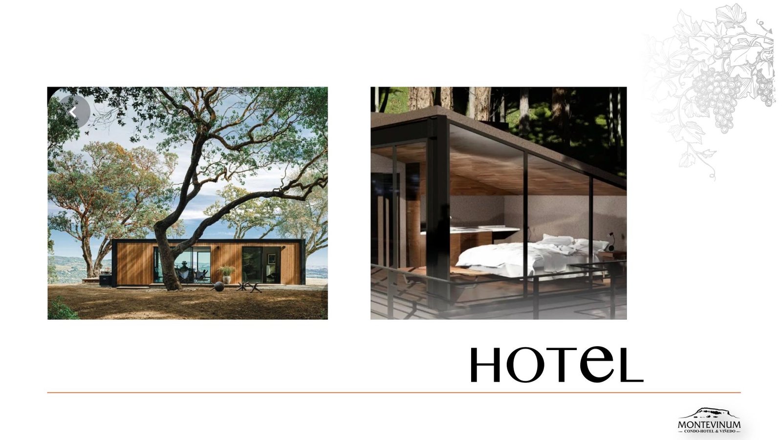 Montevinum - Imagen 12